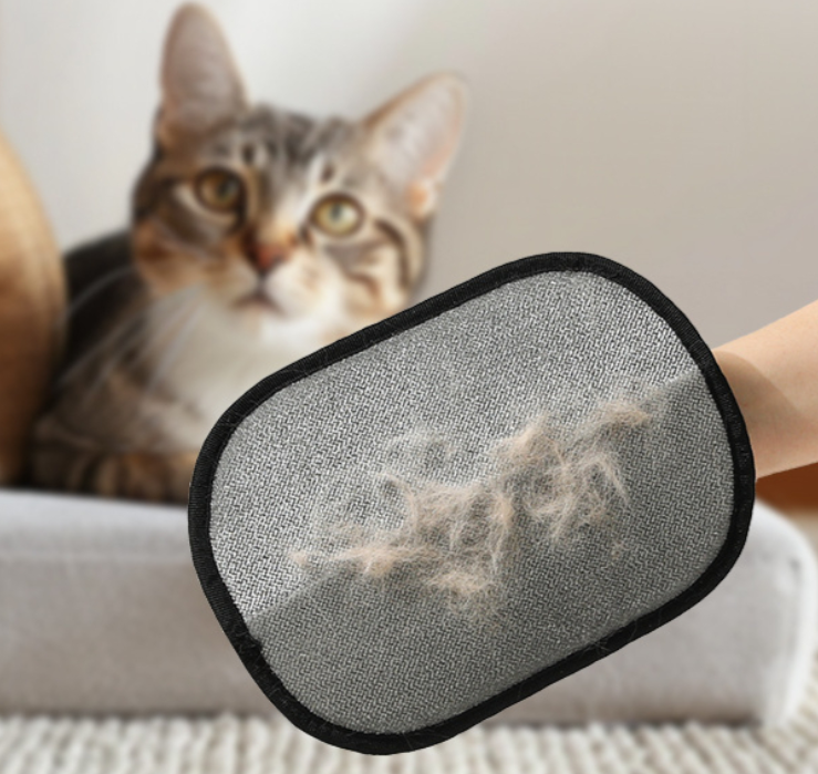 Pet hair collected on the glove with a cat in the background